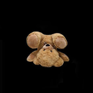 Meet your Posher, Elsi